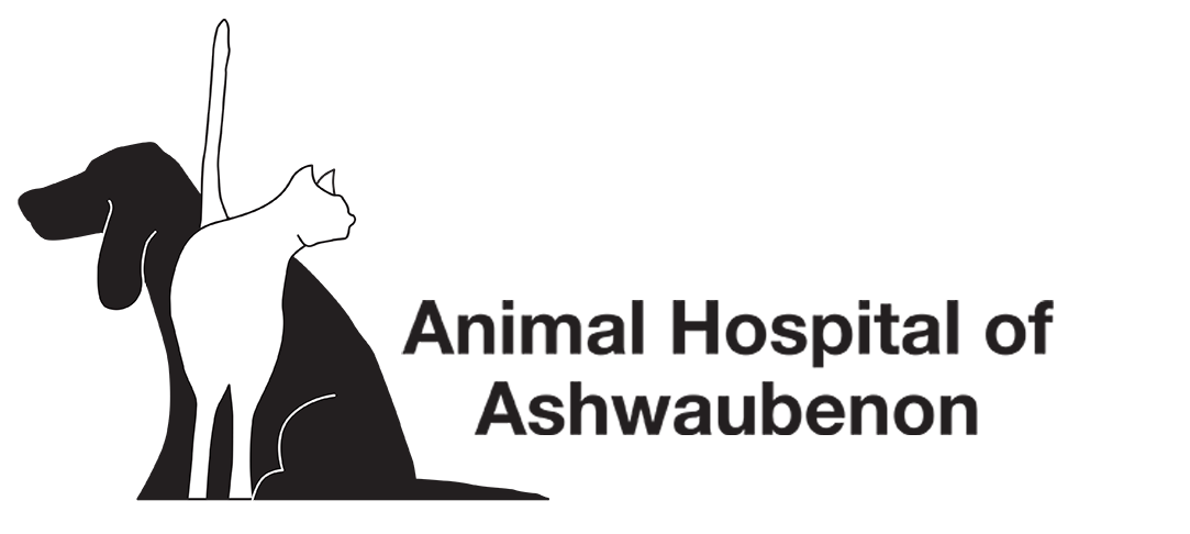 Animal Hospital of Ashwaubenon Logo