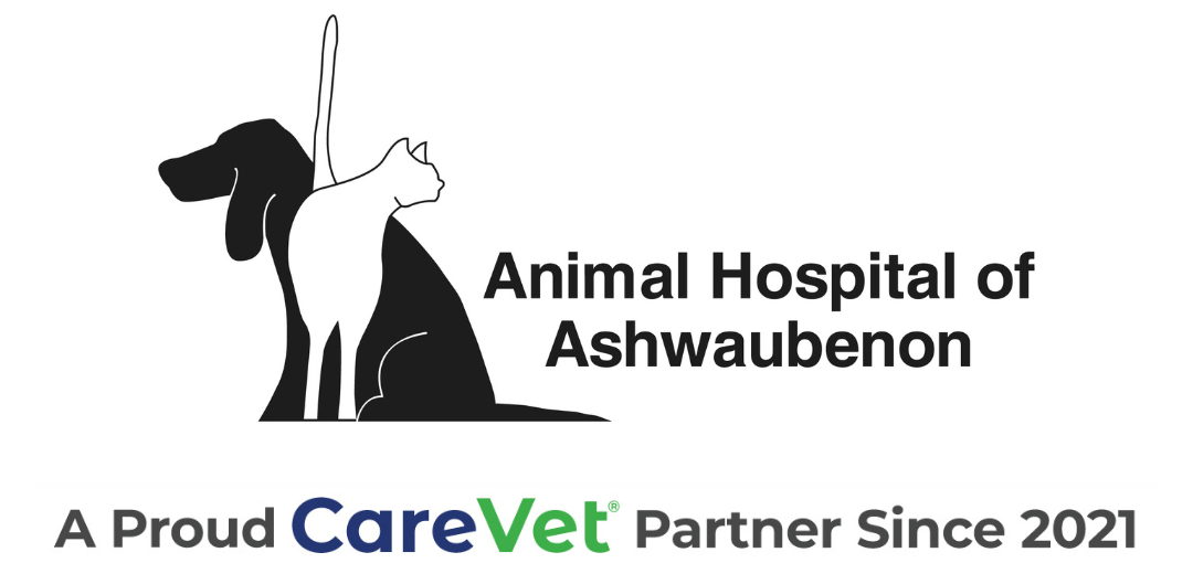 Animal Hospital of Ashwaubenon Logo
